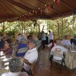 cambria_109 (November 02, 2018)